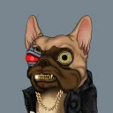 Dogpound Frenchies