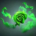 The Aroma Room
