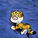 Billy the cat