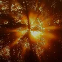 The Fall Forest