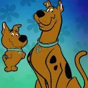 cachorro