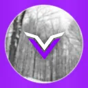 Team Voir