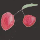 Cherry's Community