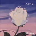 Phoenix - Playlists/Icons
