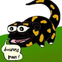 Močeradi Slovenije