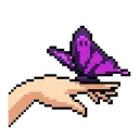 Recanto dos Sentimentos Discord Server Icon