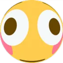 Flushed Support Server