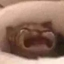 .*ʚ☕ɞ*. 𝗥𝗲𝗯𝗲𝗹𝗶𝗮 || 𝗀𝖺𝖼𝗁𝖺 𝖱𝖯's icon