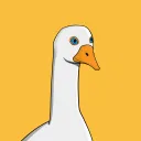 Crazy Goose Flock
