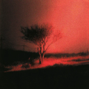 joji simps Discord server icon