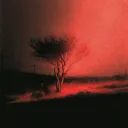 joji simps Discord Server Icon