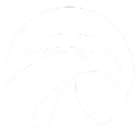 # - Falcon Community