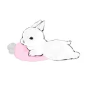 ⟢ /doli Tag [ チビ ]