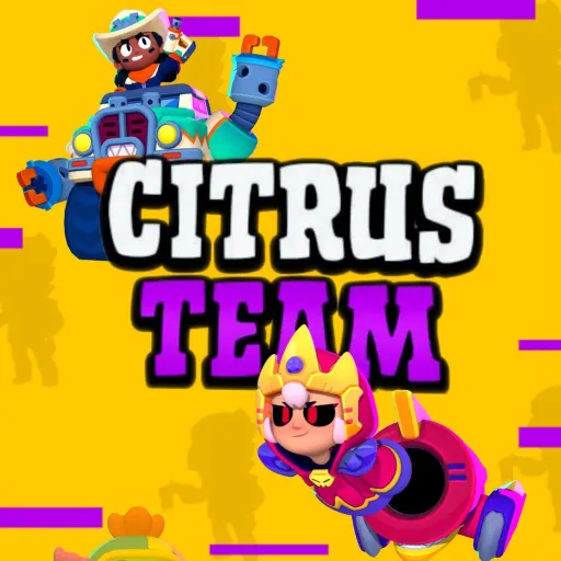 🍊CITRUS TEAM | BS🍋 — мониторинг Discord сервера, статистика и рейтинг