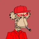 GIVEAWAY SERVER