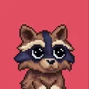 Soul Raccoons
