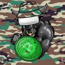 Crypto Bullz Gang