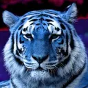 Tiffany's Tiger Den