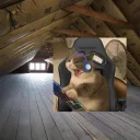 Attic