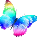 Nessa’s Butterfly Lounge