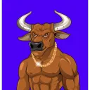 Solana Bulls Club