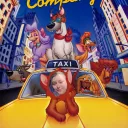 Linz & Company