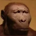 The Platinum KIngdom Discord Server Icon