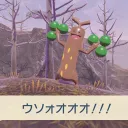 ミカヅキモのサーバー