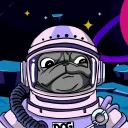Bulldogcoolclub