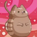 Chonky Cats
