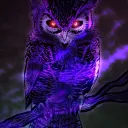 Night Owls