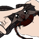 Knuffkult