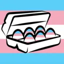 Egg Carton