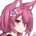 嵐教 \OAO/