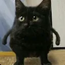 cool people :D's icon