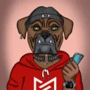 MTVDawgs
