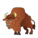 Bold Bisons Business Club