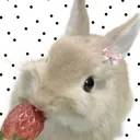 ♡ — hello khaning  !