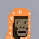 Bitcoin Saudis
