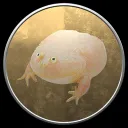 It is Wednesday my Dudes
