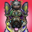 AURA DOGS HOUSE