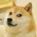 Doge’s Memes