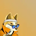 Douchey Dingos