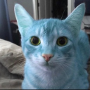 Cat icon