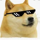 Noki GaNg