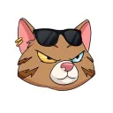 Cat City NFT