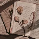 Jenn's Library