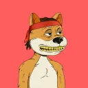 DogeVerse NFT