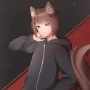 Wolfes Rudel