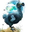 TEK DODOs
